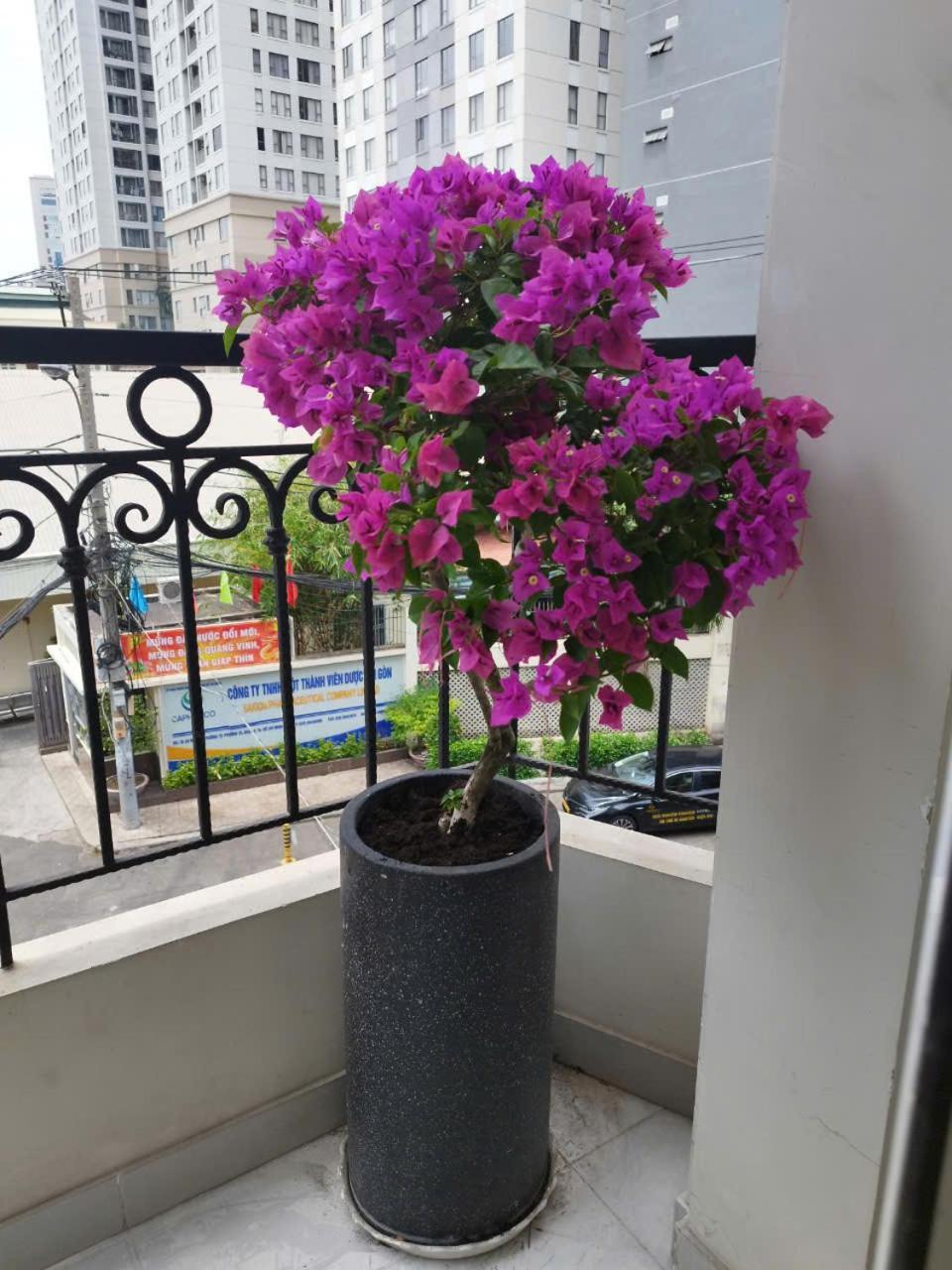 7 Apartment โฮจิมินห์ซิตี้ ภายนอก รูปภาพ